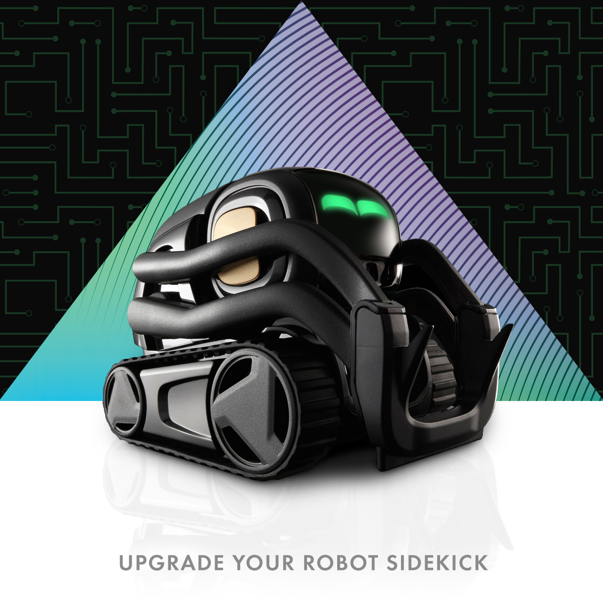 AZLP_Paid-Posts_Anki_dark