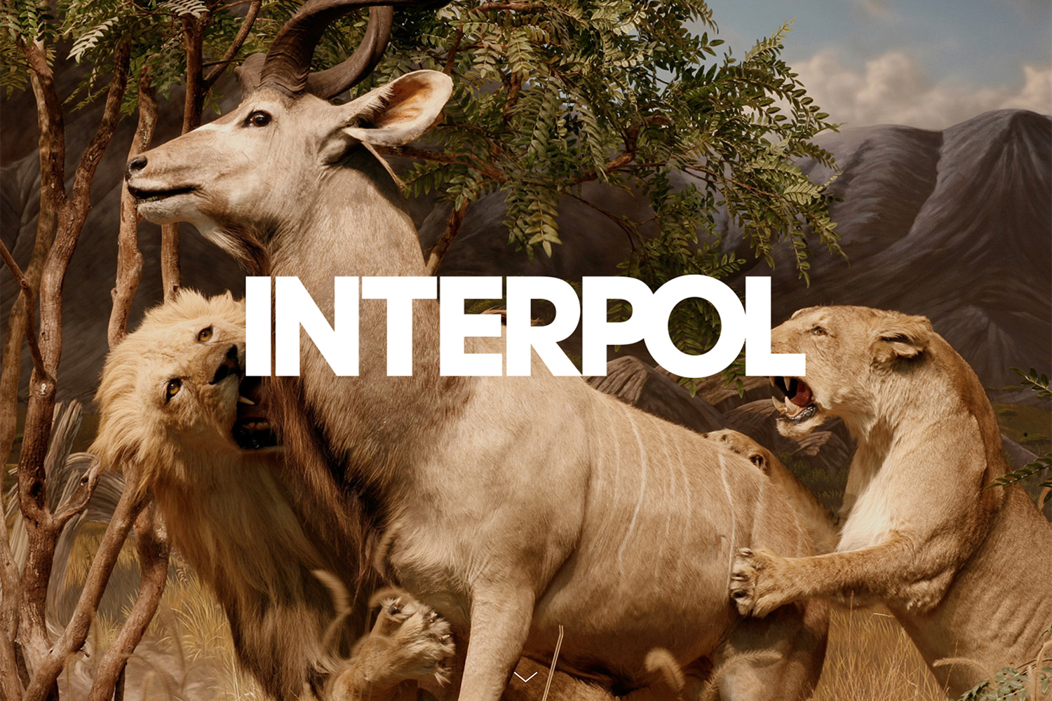 Interpol-intro