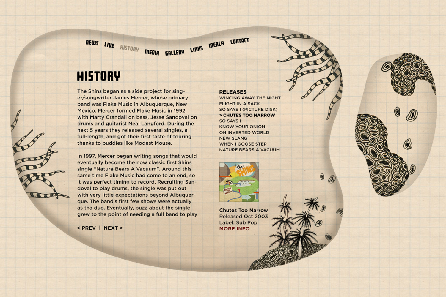 The-Shins_history