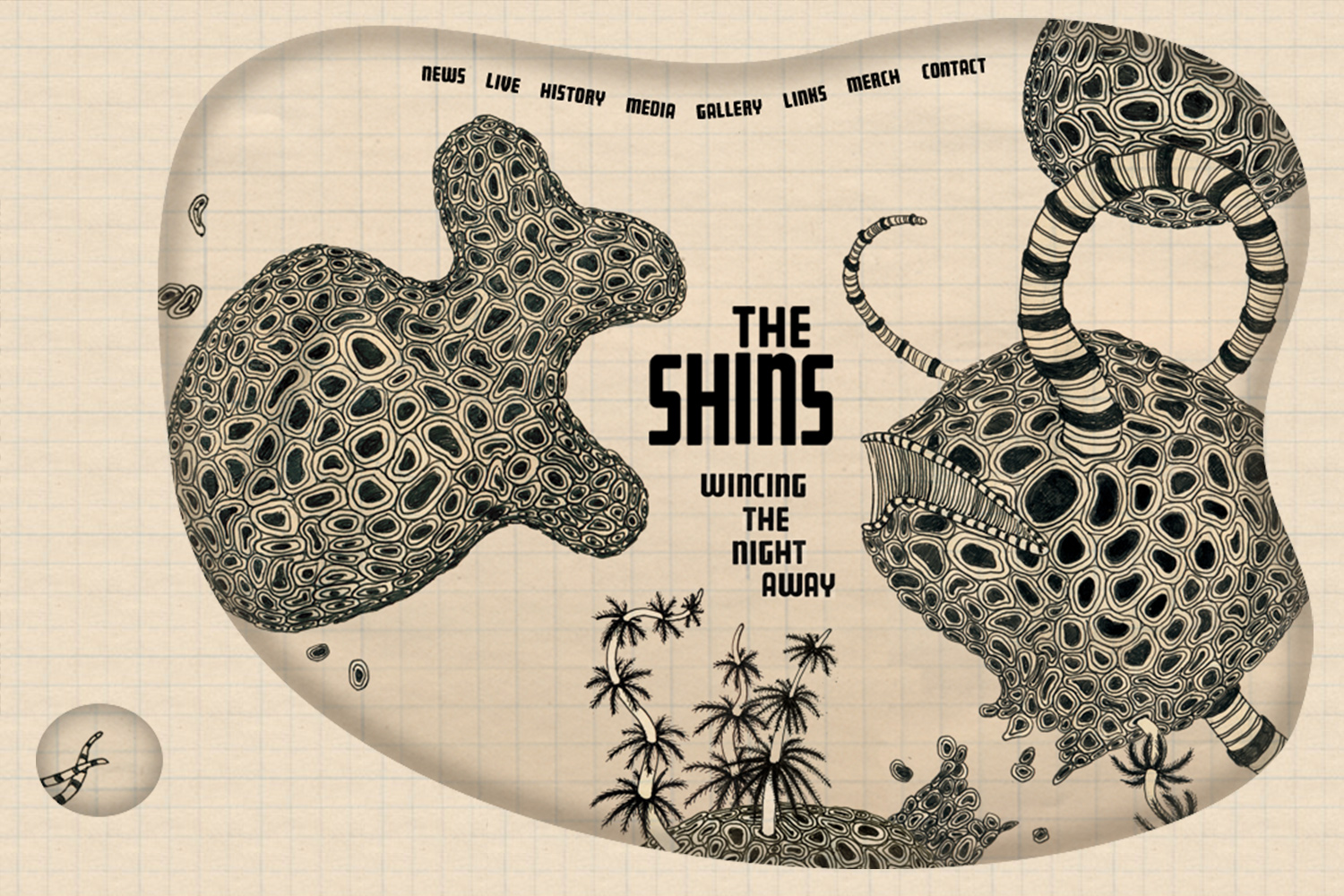The-Shins_home