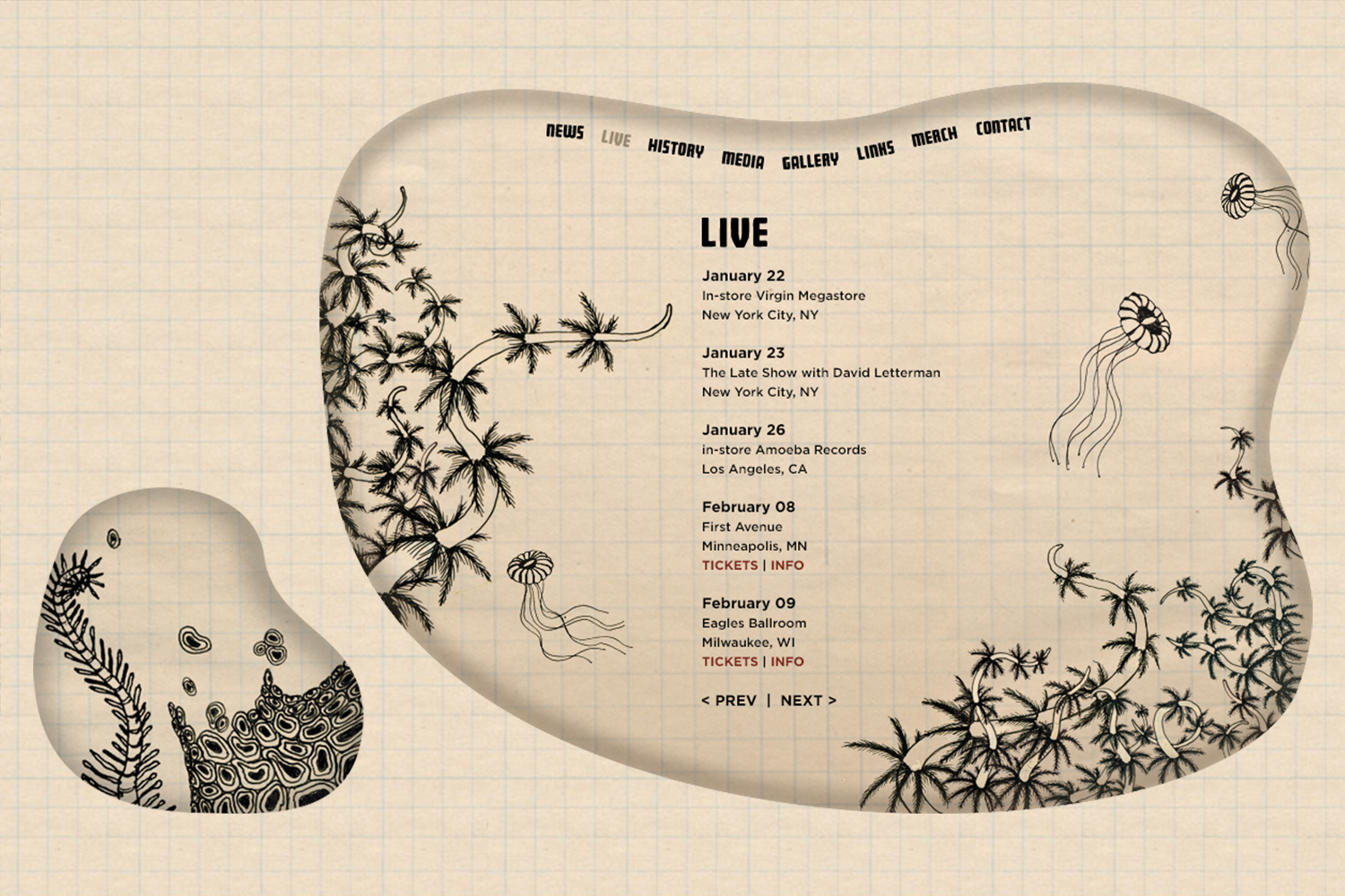 The-Shins_shows